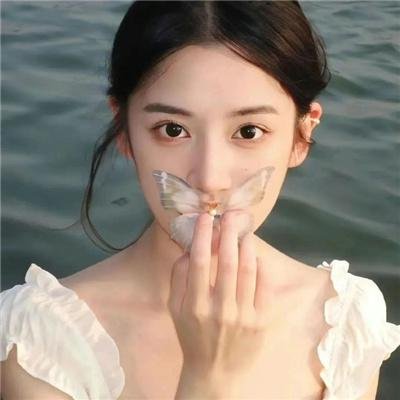 陈辰全明星